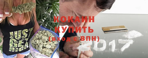 spice Осинники