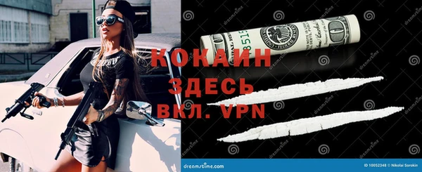 альфа пвп Няндома