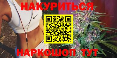 сатива Гусев