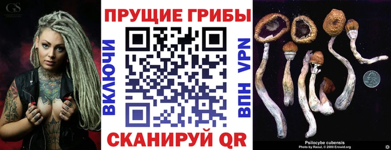даркнет сайт  ОМГ ОМГ онион  Псилоцибиновые грибы ЛСД  Ялта 